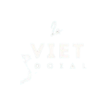Le Viet Social 